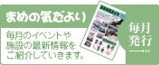 まめの気だより